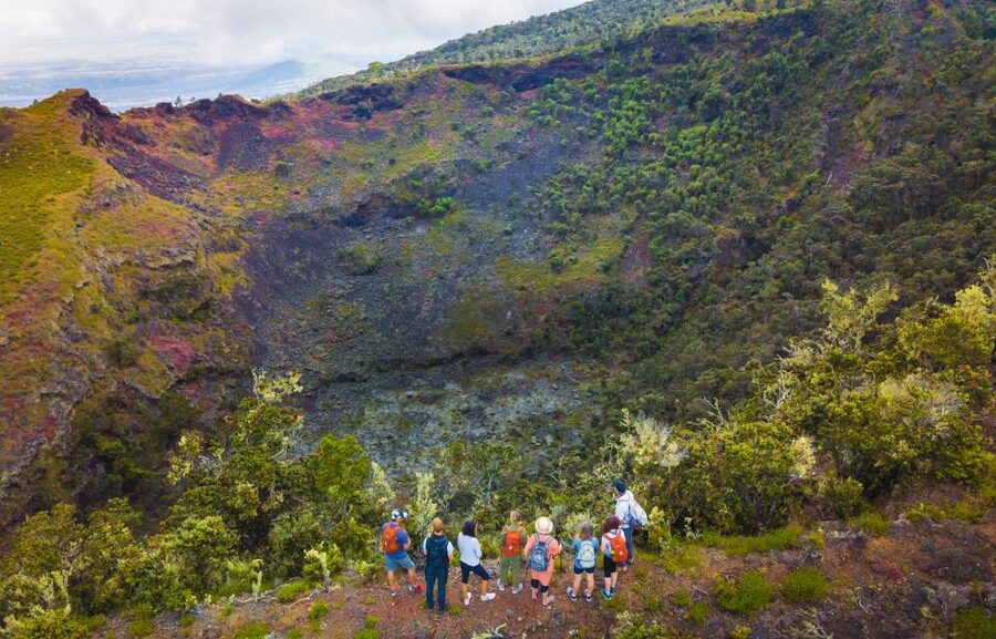 Big Island: Off the Beaten Path Volcano Crater Hike - Stop-by-stop: cloud forest, craters, and fissures in one route