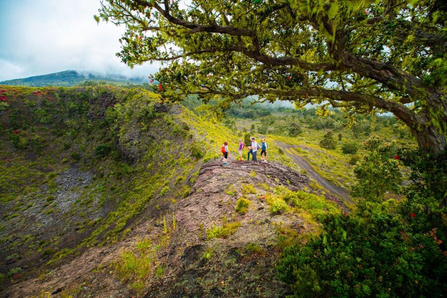 Big Island: Off the Beaten Path Volcano Crater Hike - The crater-edge moment: how to enjoy it safely