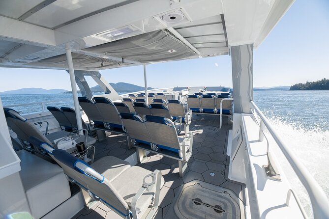 Big Island: Pelagic Whale Watch Tour - What You’ll Appreciate Most: The Guide Team and the Safety Focus