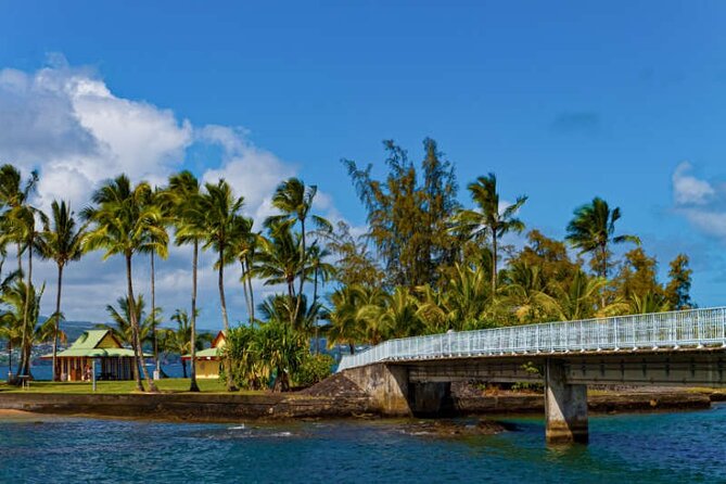 Big Island Scenic Tour: Volcano HiloTown Waterfalls Beach & Lunch - Liliuokalani Gardens: Edo-style calm, banyan views, and photo angles