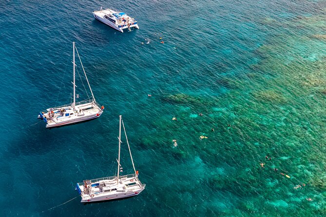 Big Island Snorkel Cruise from Waikoloa - Key highlights worth booking for