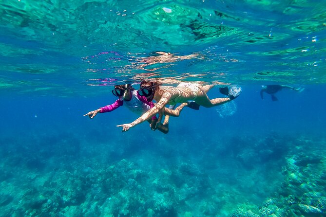 Big Island Snorkel Cruise from Waikoloa - The 3-hour plan: what happens before you even hit the reef
