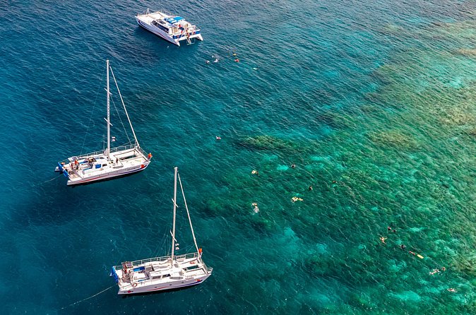 Big Island Snorkel Cruise from Waikoloa - Price and value: $185 for 3 hours that feed you and gear you up