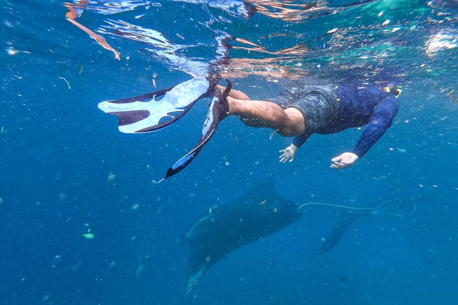 Big Island: Snorkel with Manta Rays - Manta Guarantee - The onboard vibe: modern catamaran comfort and warm return snacks
