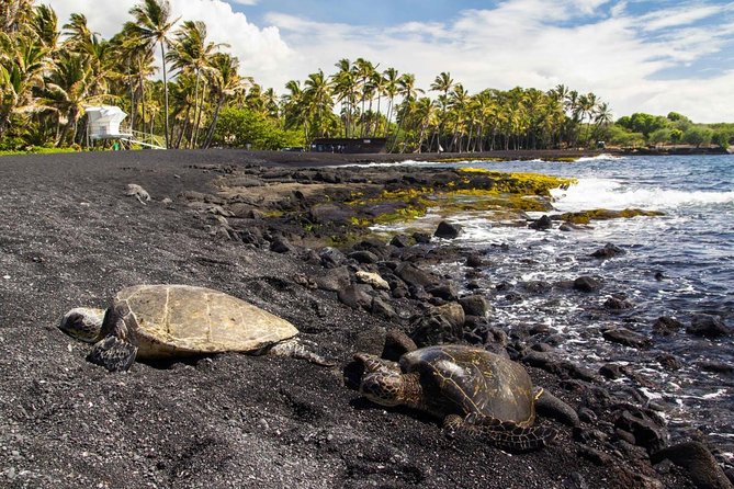 Big Island - South Island Coastal Loop Driving Tour - Key Highlights You’ll Feel on the Road