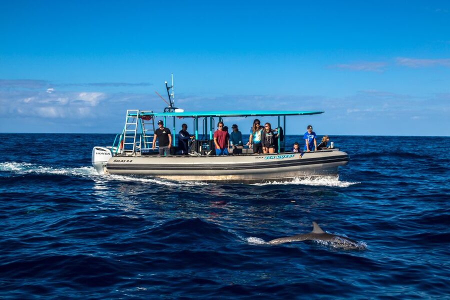Big Island: South Kona Snorkeling and Coastline Exploration - Price: is $200 worth it for three reefs plus caves?