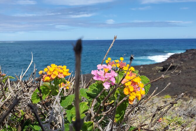 Big Island Southside ATV Tour - The ride’s real personality: bumpy, dusty, and sun-heavy
