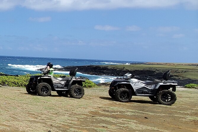 Big Island Southside ATV Tour - Kiawe forest tracks: when the terrain turns into a different kind of ride