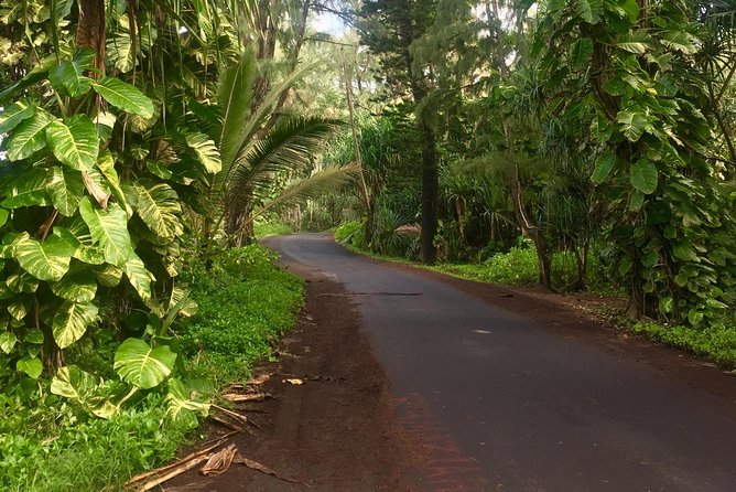 Big Island Volcano Adventure from Kona: Small Group - Akaka Falls: the waterfall stop you’ll want to plan for