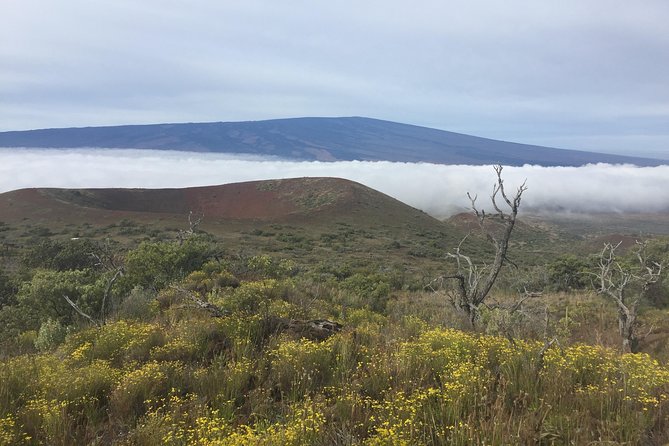 Big Island Volcano Adventure from Kona: Small Group - Lunch and snack pacing: how the day stays comfortable
