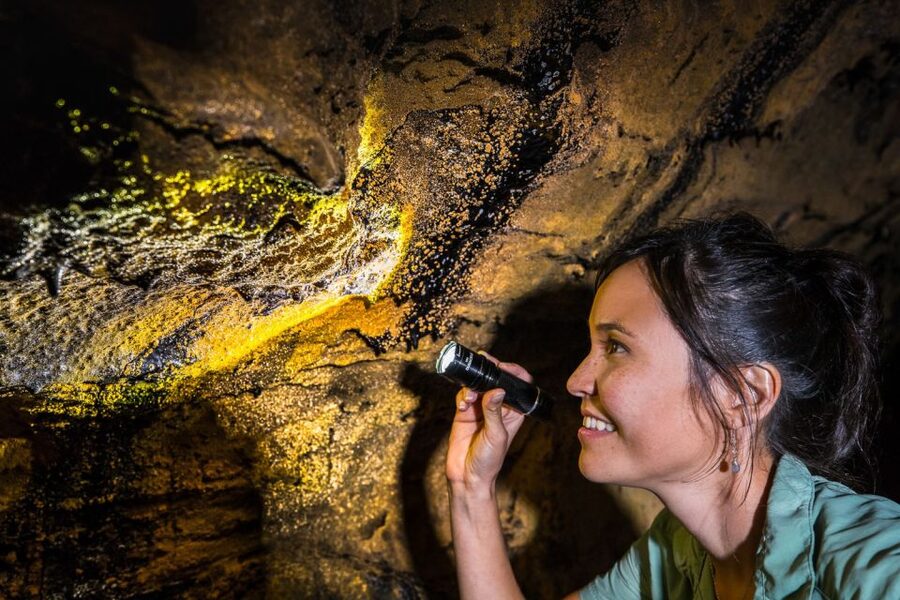 Big Island: Volcano, Chocolate & Waterfall Adventure - Inside Hawaii Volcanoes National Park: Guided Walks That Make It Click