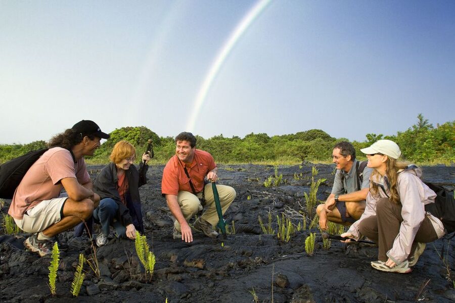 Big Island: Volcano, Chocolate & Waterfall Adventure - The Active-Volcano Factor: What the Tour’s Access Really Means