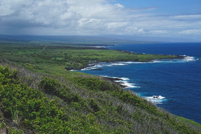 Big Island: Volcano, Waterfalls & Coffee Group Tour - Punalu‘u Black Sand Beach: turtles on honu time