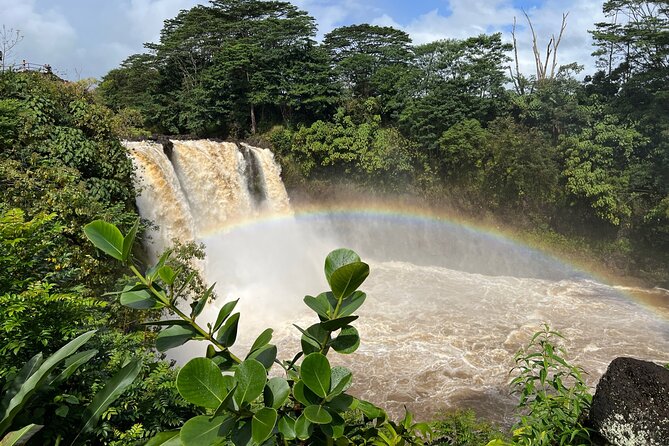 Big Island: Volcano, Waterfalls & Coffee Group Tour - Picnic lunch and included snacks: what you’ll actually get
