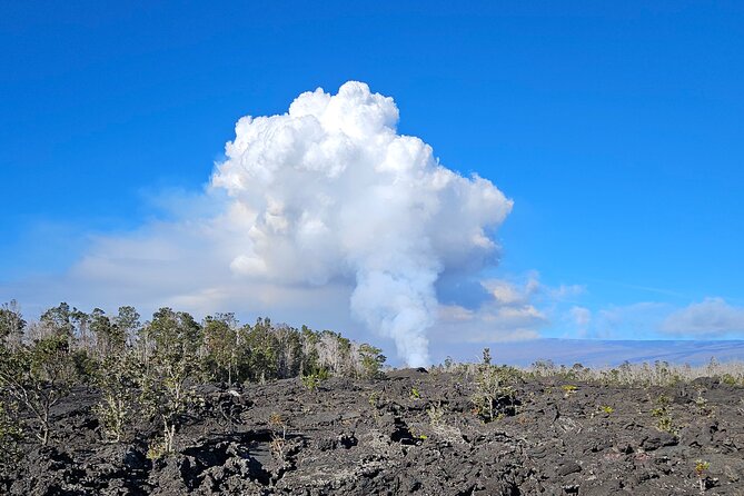 Big Island Waterfalls, Blacksand Beaches, Lava Tubes & Volcanoes - Rainbow Falls: misty views and that famous banyan tree