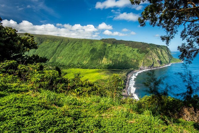 Big Island Waterfalls Tour with Swimming and Botanical Garden - Hawaii Tropical Botanical Garden: rainforest paths, streams, and orchid eye-candy