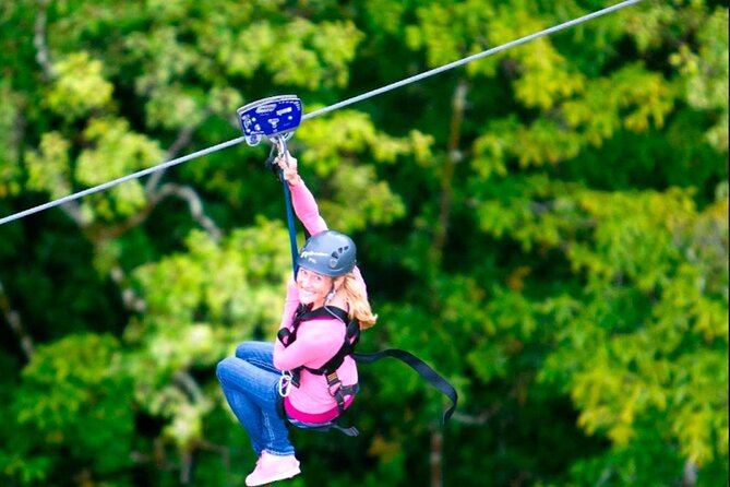 Big Island Zipline Tour Near Akaka Falls (250-ft Waterfall!) - Key highlights you should care about