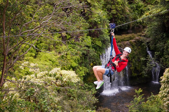 Big Island Zipline Tour Near Akaka Falls (250-ft Waterfall!) - Hawaiian Agriculture Lessons (Plus Fruit) Between the Zips