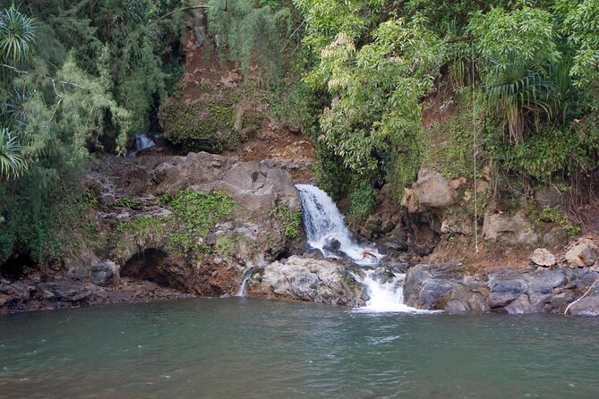 Big Island Zipline Tour Near Akaka Falls (250-ft Waterfall!) - What Makes the Waterfall Finale So Worth It