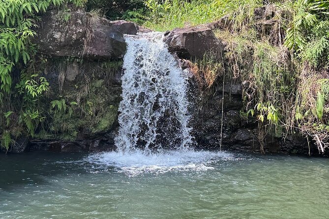 Botanical Tour and waterfall swim at The Cloudforest Bioreserve - Mauna Kea Cloudforest Bioreserve: What you’re really paying for