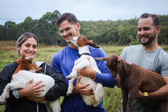 Bottle Feed & Cuddle Baby Goats at Ohana Ranch (Big Island) - Cuddle time plus a farm story: what you learn beyond cuteness