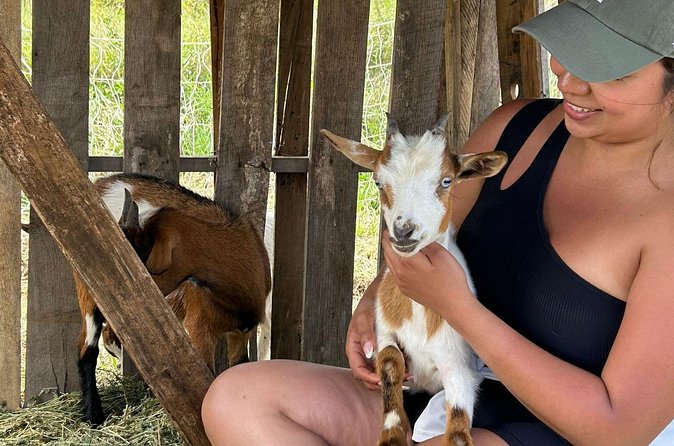 Bottle Feed & Cuddle Baby Goats at Ohana Ranch (Big Island) - Views, photos, and the calm that sneaks in