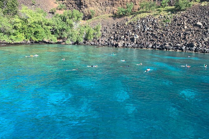 Captain Cook Reef Snorkeling of Kealakekua Bay - Stop at Kealakekua Bay: snorkeling the reef and seeing what lives there