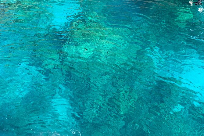 Captain Cook Reef Snorkeling of Kealakekua Bay - What the small group size changes on this trip