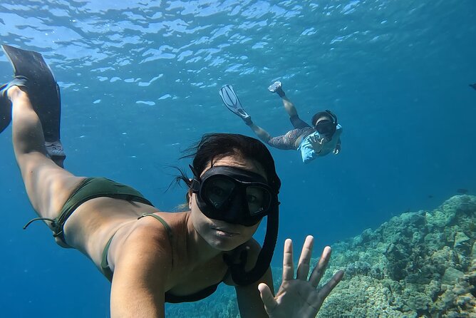 Captain Cook Reef Snorkeling of Kealakekua Bay - Price and value: how $80 makes sense on this specific day
