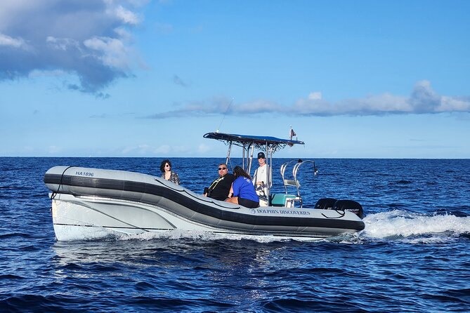 Captain Cook Snorkel Tour with Sea Caves and Lava Tubes - Wildlife odds: dolphins and humpbacks, plus turtles now and then