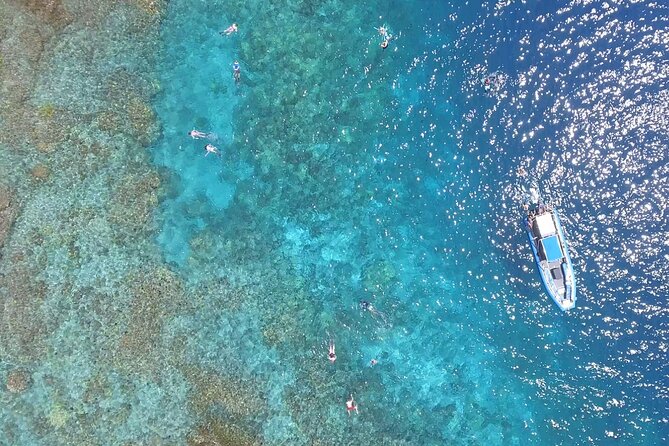 Captain Cook Snorkel Tour with Sea Caves and Lava Tubes - Price and value: why $89 can feel fair (or not)