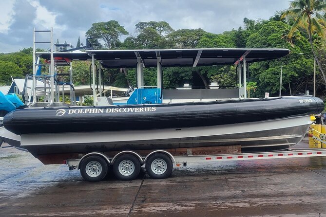 Captain Cook Snorkel Tour with Sea Caves and Lava Tubes - Captain Cook Snorkel Time: what your 30–40 minutes is likely to look like