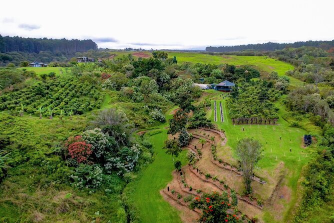 Craft Chocolate Tasting and Farm Experience on the Big Island - Who This Cacao + Chocolate Tour Suits Best