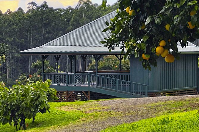 Craft Chocolate Tasting and Farm Experience on the Big Island - A Few Practical Tips Before You Go