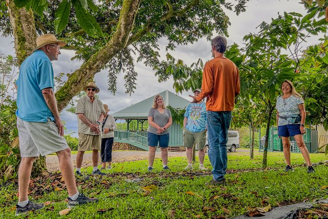 Craft Chocolate Tasting and Farm Experience on the Big Island - Should You Book Honolii Orchards’ Craft Chocolate Tasting and Farm Experience?