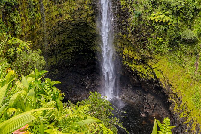 Cruise Ship Favorite Hilo Excursion Volcanoes and Akaka Falls - The One Thing to Watch: Communication on Cruise-Day Timing