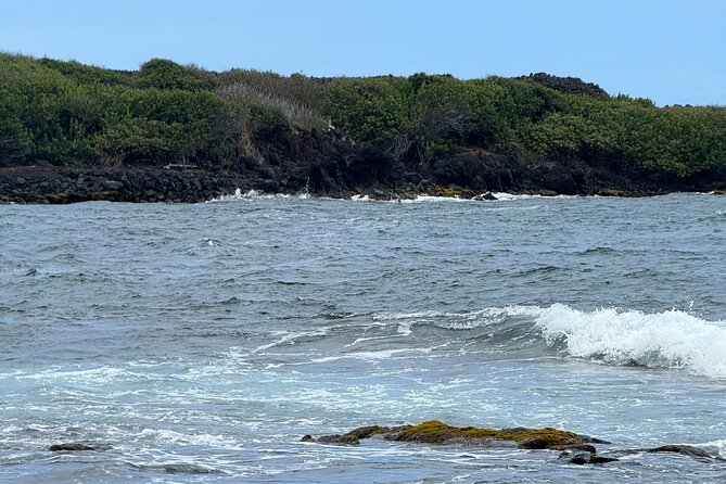 Cruise Ship Favorite Hilo Excursion Volcanoes and Akaka Falls - Akaka Falls State Park Loop: The 0.4-Mile Walk and the 442-Foot Payoff