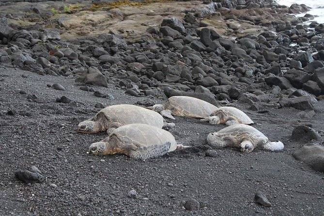Custom Volcanoes National Park Tour with extra stops - A Private Sprinter Day Through Volcanoes National Park and Hilo