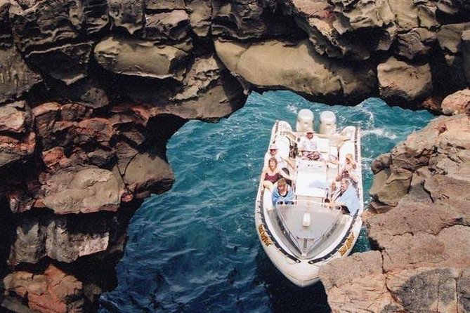 Deluxe Morning Snorkeling Adventure - Marine Life Chances: Dolphins, Turtles, Whales, and the Stuff You Hope For