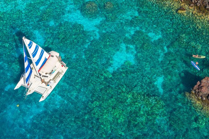 Deluxe Sail & Snorkel to the Captain Cook Monument - Stop 1 at Kealakekua Bay Marine Preserve: your first reef hour