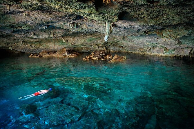 Dolphin, Sea Cave, Captain Cook, Kealakekua Bay Reef Snorkeling - Key Reasons This Snorkel Tour Works So Well