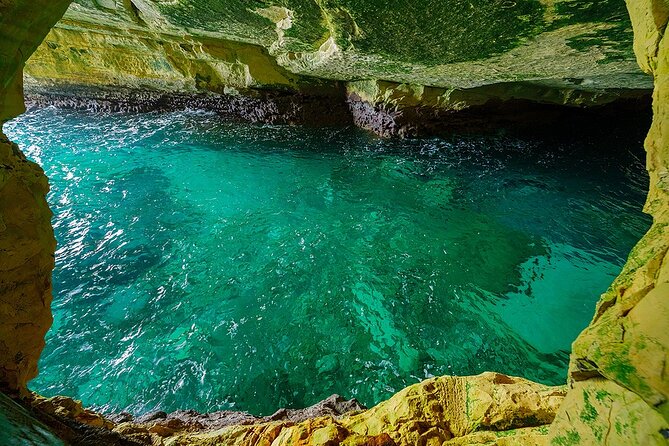 Dolphin, Sea Cave, Captain Cook, Kealakekua Bay Reef Snorkeling - The Zodiac RIB Ride: Speed, Music, and Real Coast Views