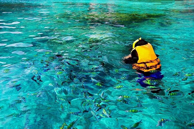Dolphin, Sea Cave & Captain Cook Snorkel Combo in Kealakekua Bay - The sea cave snorkeling stop: when it happens and what to consider