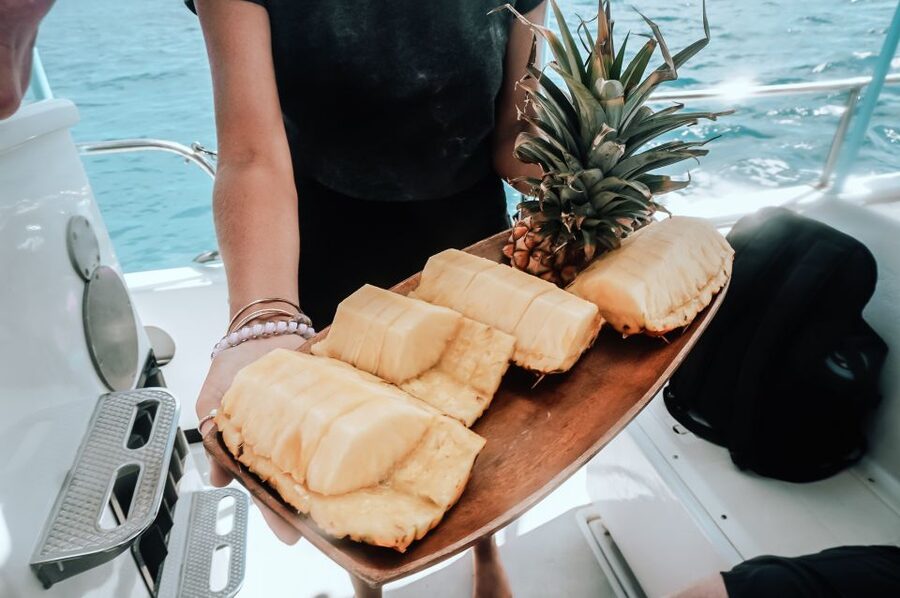 Dolphin Watch Snorkel and BBQ in Kona, Big Island - Dolphin and Whale Spotting: What You’re Really Looking For