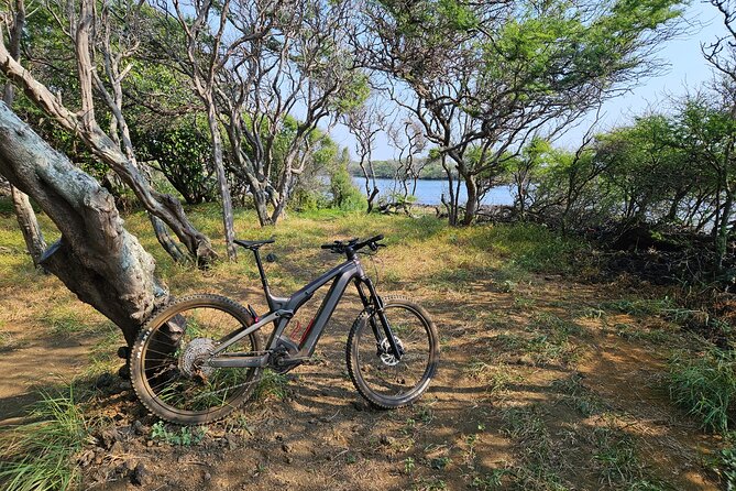 E-Mountain Bike Tour in South Point Hawaii - Key things you’ll notice on this South Point e-bike ride