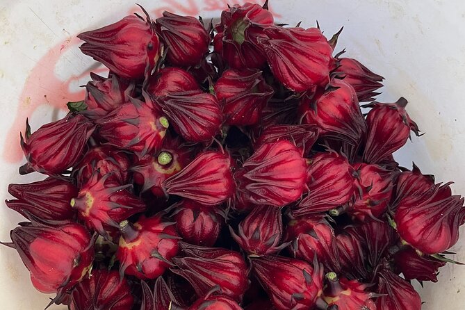 Edible Hibiscus Guided Farm Tour (Big Island) - Practical Tips for a Smooth 1.5 Hours in Honokaa