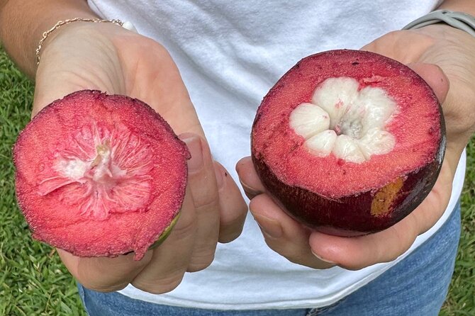 Exotic Fruit Tasting Tour in Kona - Key points before you go