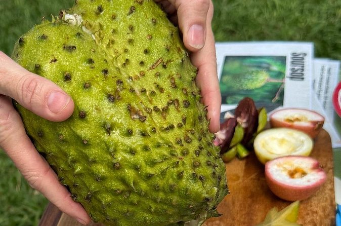 Exotic Fruit Tasting Tour in Kona - Guide-led learning: why small groups matter more than you think