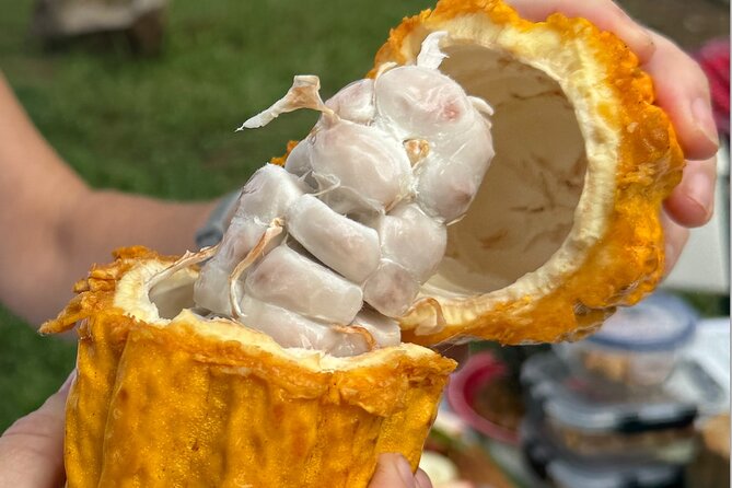 Exotic Fruit Tasting Tour in Kona - Who this fruit tasting tour is best for