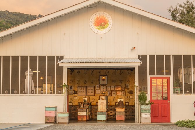 Experience Our Honey Farm And Beekeeping Tour - Who Should Go (and Who Should Skip the Hives)